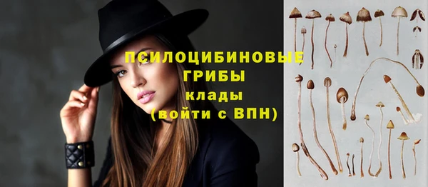 кокаин колумбия Каменка