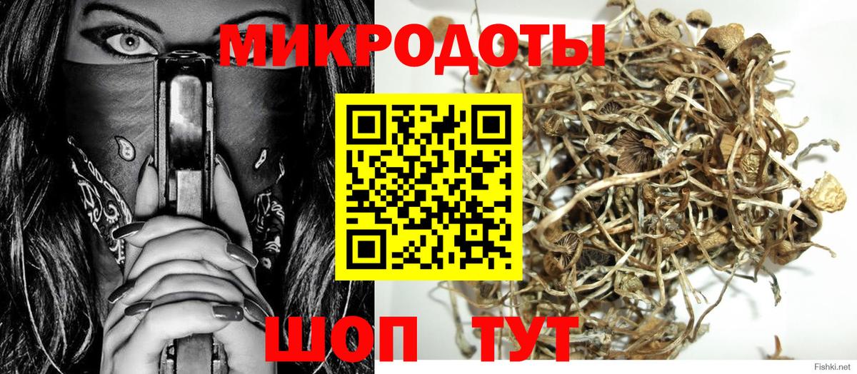 Псилоцибиновые грибы Cubensis Ирбит
