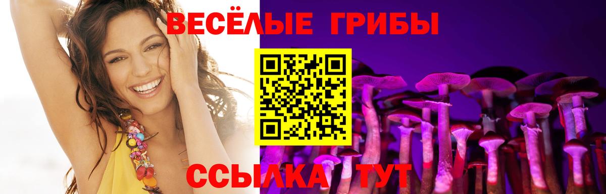 Ирбит  Галлюциногенные грибы прущие грибы  Вход с VPN  Псилоцибиновые грибы Psilocybine cubensis 